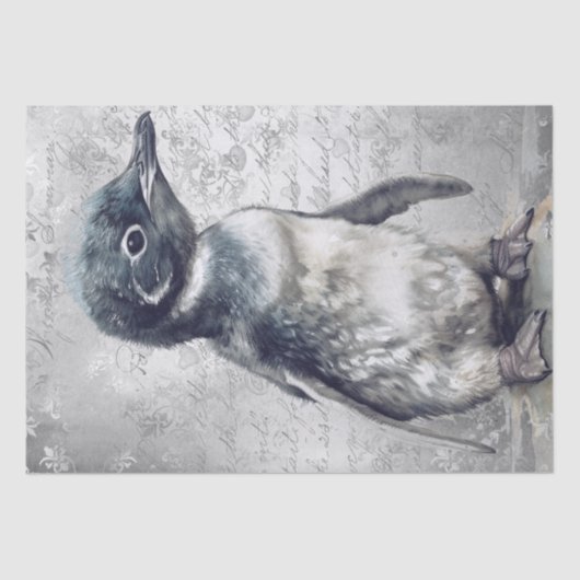 ベビーペンギン 薄葉紙 (正面)