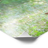 ベビーホワイトテールディアファウン フォトプリント            (角)