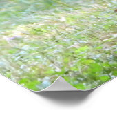 ベビーホワイトテールディアファウン ポスター (角)