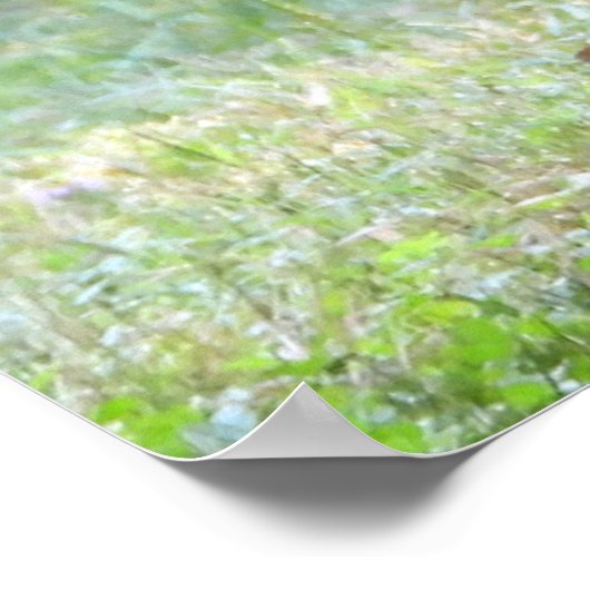 ベビーホワイトテールディアファウン ポスター (角)