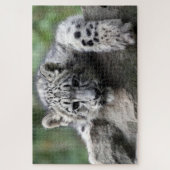 ベビーホワイトヒョウ岩の上からあなたを見ている ジグソーパズル (縦)