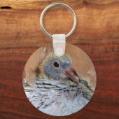 ベビーホーミンピジョンキーチェーン キーホルダー (正面)