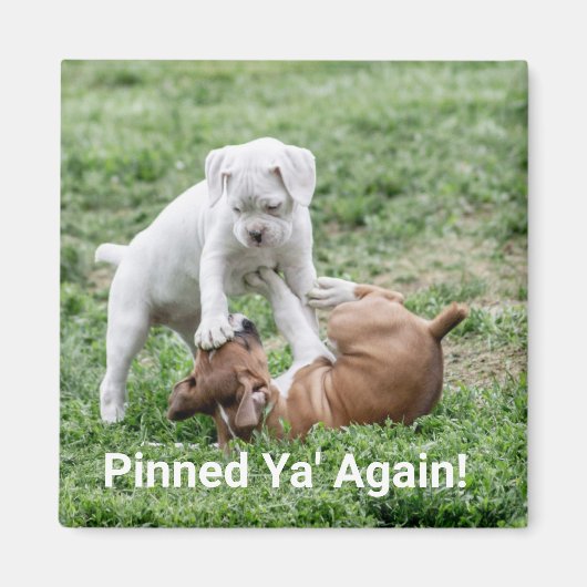 ベビーボクサーパピーズ マグネット (正面)