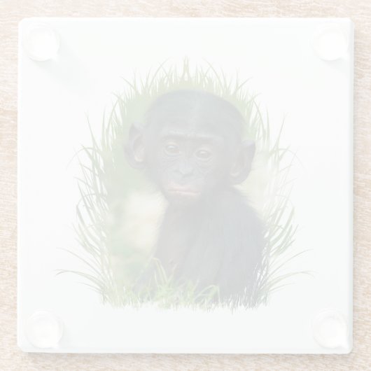 ベビーボノボアペ ガラスコースター (裏面)