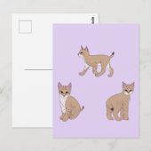 ベビーボブキャッツ ポストカード (正面/裏面)