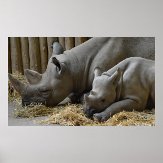 ベビーポスター ポスター