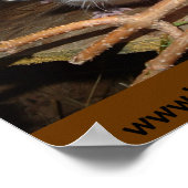 ベビーポスター ポスター (角)