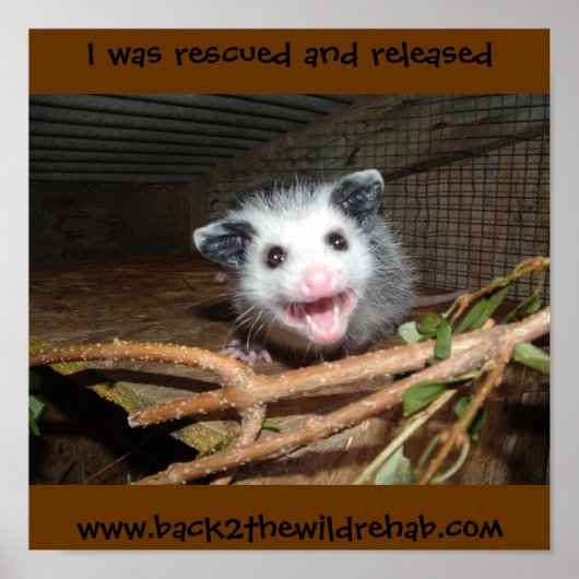 ベビーポスター ポスター (正面)