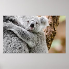 ベビーポスター ポスター