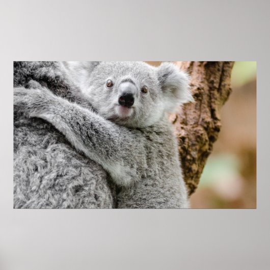 ベビーポスター ポスター (正面)