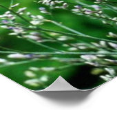 ベビーポッサム摘み花ポスター ポスター (角)