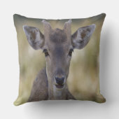 ベビーポーンバック クッション (裏面)