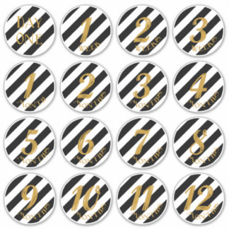 ベビーマイルストーンステッカー シール