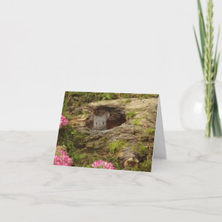 ベビーマウスカード サンキューカード