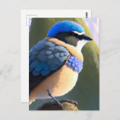 ベビーマウンテンブルーバードポストクロッシング ポストカード (正面/裏面)