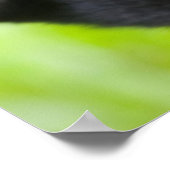 ベビーマウンテン遊ゴリラの熱帯雨林 ポスター (角)