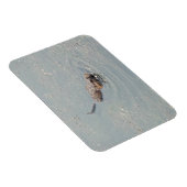 ベビーマスカラットフレキシブルフォトマグネット マグネット (右側)