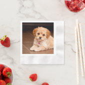 ベビーマルチーズのプードルミックスまたはモルチポの子犬 縁ありカクテルナプキン (インサイチュ)