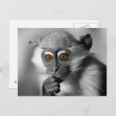 ベビーマンガビーモンキー ポストカード (正面/裏面)