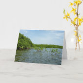 ベビーマングローブの木カリブの々 カード (黄色い花)