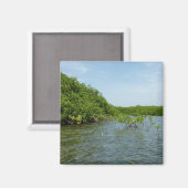 ベビーマングローブの木カリブの々 マグネット (正面/裏面)