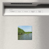 ベビーマングローブの木カリブの々 マグネット (インサイチュ (食洗機))