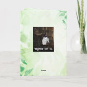 ベビーマンドレイク空白のカード シーズンカード (裏面)