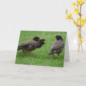ベビーミナバードズが食べ物を乞う カード (黄色い花)