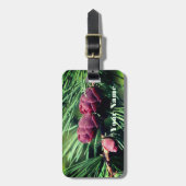 ベビーミニチュアパインコーンパーソナライズされた自然 ラゲッジタグ (正面縦)