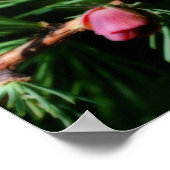 ベビーミニチュアパインコーンOrtonエフェクト ポスター (角)