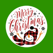 ベビーメリーの雪だるま初めてのクリスマスユニーク写真 オーナメントカード