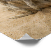 ベビーメルカート砂のポスターに座って ポスター (角)