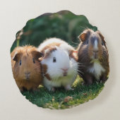 ベビーモルモットが3頭、 ラウンドクッション (裏面)