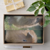 ベビーモルモットが3頭、 薄葉紙 (ギフト)