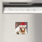 ベビーモンキーアットクリスマス マグネット (インサイチュ (食洗機))