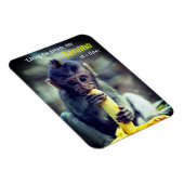 ベビーモンキー食べズバナナ マグネット (右側)