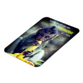 ベビーモンキー食べズバナナ マグネット (左側)