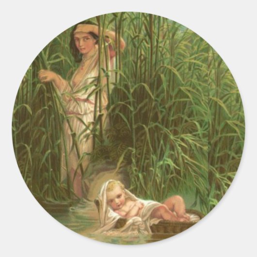 ベビーモーズザリバーナイル ラウンドシール (正面)