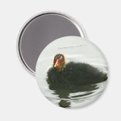 ベビーモーレンス マグネット (正面/裏面)