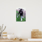 ベビーヤギポスター ポスター (キッチン)