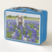 ベビーヤギランチボックス メタルランチボックス (正面)