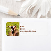 ベビーヤギ差出人住所ラベル ラベル (インサイチュ)