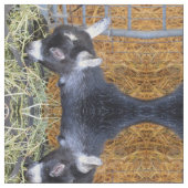 ベビーヤギ干し ファブリック (クローズアップ)