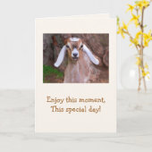 ベビーヤギ知恵誕生日 カード (黄色い花)