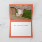 ベビーヤギ詩誕生日カード カード (内部)