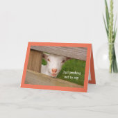 ベビーヤギ詩誕生日カード カード (正面)