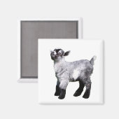 ベビーヤギ鼻インエアーマグネット マグネット (正面/裏面)