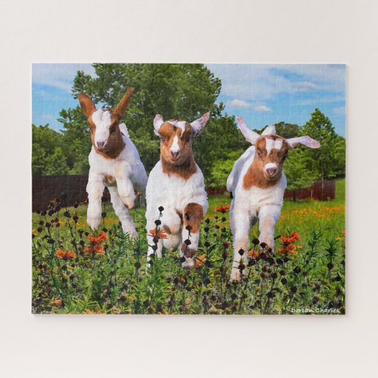 「ベビーヤギ」 ジグソーパズル (横)