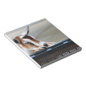 ベビーヤギ ノートパッド (アングル)