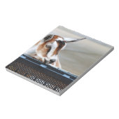 ベビーヤギ ノートパッド (回転)